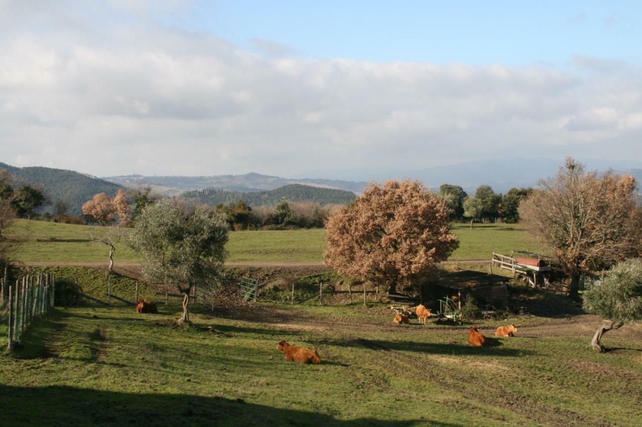 Farmhouse Tuscany Montecastelli Pisano Экстерьер фото
